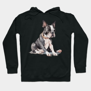 Boston Terrier Watercolor Style Hoodie